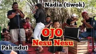 Ojo nesu nesu.cover pak ndut&nadia tiwok.(woko channel)Pasgosa,Kulijaya sound miniatur