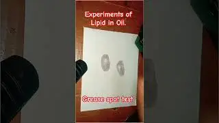 Experiments of Lipid in Oils.Experiments of Fat in Oils . Grease Spot Test #trending #trendingshorts