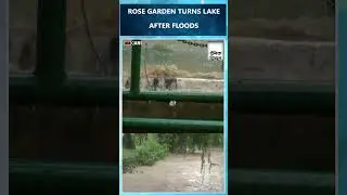 Punjab Floods: Chandigarh&rsquo;s Zakir Hussain Rose Garden submerged after heavy rainfall
