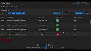 Audit History | ReliVision by Relimetrics