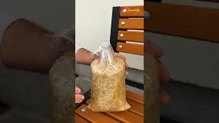 Plastic bottle hack for rice storage 🍚 #bottle #rice #storage
