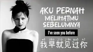 我早就见过你 · Wo Zao Jiu Jian Guo Ni • 小兮橙 · Aku Pernah Melihatmu Sebelumnya • I've seen you before