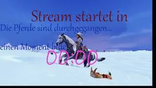 Starstable Online #6 Winterquests auf Server 3