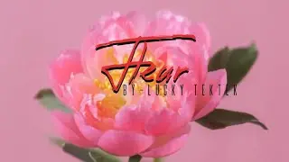 Fleur (Lucky Tektek) Audio Officiel