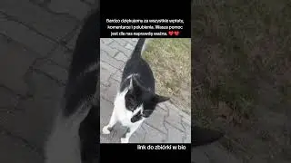 #cat #catcommunity #catrescue #pomoc #zbi&oacute;rka