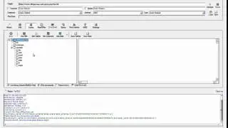 Injection SQL with Havij