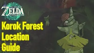 Zelda Tears of the Kingdom Korok Forest location guide / walkthrough