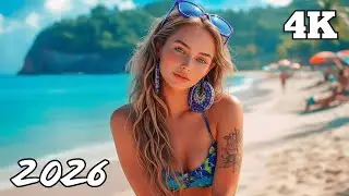 Paradise Flow 🌴 Chill House Summer Vibes 4K UHD | CalmRelaxing
