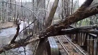Trestle Creek Syma X5C1