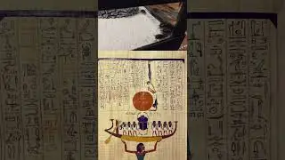 #pet #scarab #dungbeetle #ancientegypt