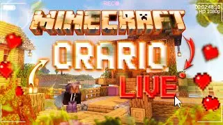 НАВОДИМ КРАСОТУ | ВЫЖИВАНИЕ на СЕРВЕРЕ ORARIO | Minecraft Classic | Minecraft 1.19.2 #10