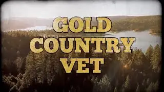 Gold Country Vet (First 5 minutes)