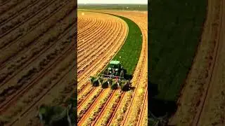 AGRICULTRICE -RECOLTER DU BLE #agricultrice #agriculture #tracteur #campagnes #recolte #moisson