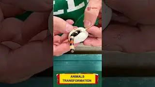 Animal before and after growing up #trending #animals #funnyanimals #animaltransformation