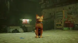 Stray Gameplay Part4 The Slums Finding Safe Keys 4k Ultra Graphics Gameplay