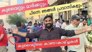 Come To Kuwait For An Amazing Experience! Kuwait Market Tour! Mallus Junction