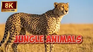 8K Cinematic Wildlife &ndash; Stunning Wild Animals in Nature