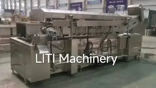 Continuous Fryer​ Machine