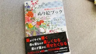 Flip Through: Healing Japanese Pattern Coloring Book | Mindful & Traditional Designs