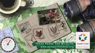 Passport to Texas Radio Promo