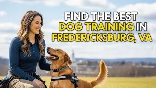 Find the Best Dog Training in Fredericksburg Virginia