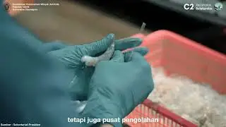 Studio Perencanaan C2 - Kecamatan Bulakamba, Kabupaten Brebes