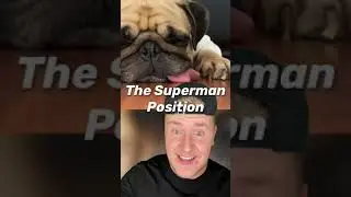 What YOUR Dog's Sleeping Position Says About it's PERSONALITY!