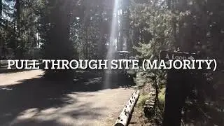 Camping site in Yellowstone National Park Grant Campground