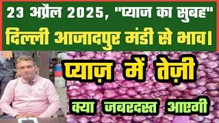 23 अप्रैल 2025 | आज Azadpur Mandi से प्याज़ का थोक भाव | देखिए पूरी रिपोर्ट #dmttv