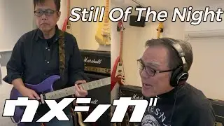 ウメシガ vol.30 / Still Of The Night (Whitesnake Cover)