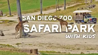 🐅 San Diego Zoo Safari Park 🦒 with Kids