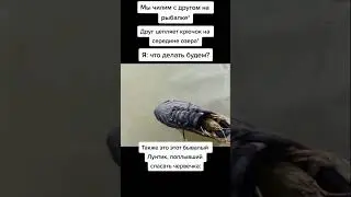 #мем 20