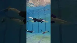 Freestyle dive #freedivingkazakhstan #free #shorts #short #shortsvideo #shortvideo #reels #youtube
