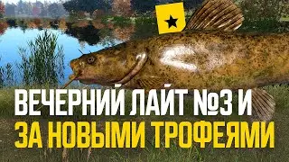 Сомик оливковый, Чукучан, Вечерний лайт №3 ● Русская рыбалка 4 ● Перчик РР4
