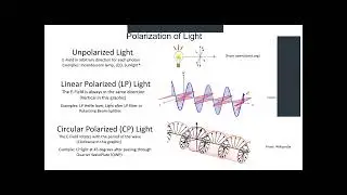Tutorial: Homodyne interferometer for displacement measurement - Sam Goldwasser