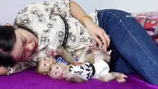 Very Stunning Of Sleeping Two Litt Moly & Zuji When Sleep Comfort Them