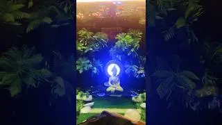 Fish tank cleaning 🐠🪣#minivlog #fish #fishtank#shorts#lifestyle#trending #viral