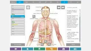 NES Health System Overview