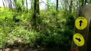 Middle Run Valley Park - Lenape Trail
