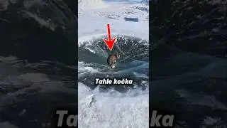 Kočka v ledov&eacute; j&aacute;mě 😺 #minitisk #kočky #kočka
