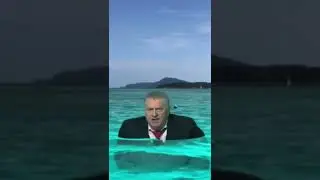 Жириновский вылез из могилы