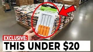 7 Harbor Freight Must Have Tools For Any Shop - Under $20 (Updated for 2026)