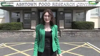 Food Industry Development and Services - Ciara McDonagh, Teagasc