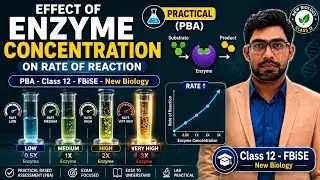 Practical Based Assessment (PBA) Class 12 Biology | Effect of Enzymes Concentration on Reaction Rate