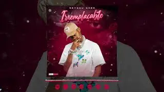 SEYDOU CHEE - IRREMPLA&Ccedil;ABLE ( Son Officiel ) 2026