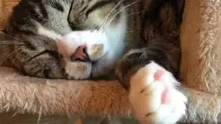 Linus/trixi/Felix../ Greif......Trier........Filsch&mdash;Minden........&szlig;((