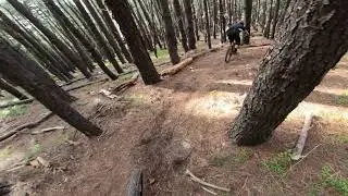 Don't Look Down!