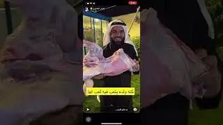 سنابات فارس البشيري