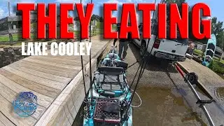 They Eating- The bass were hungry and I delivered