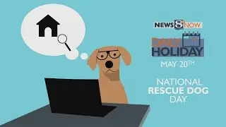 Daily Holiday - National Dog Rescue Day